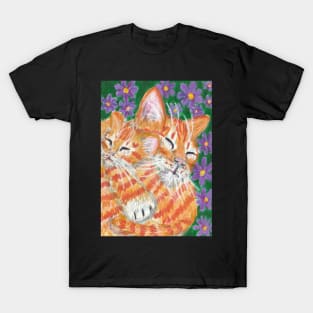 orange ginger kitten T-Shirt